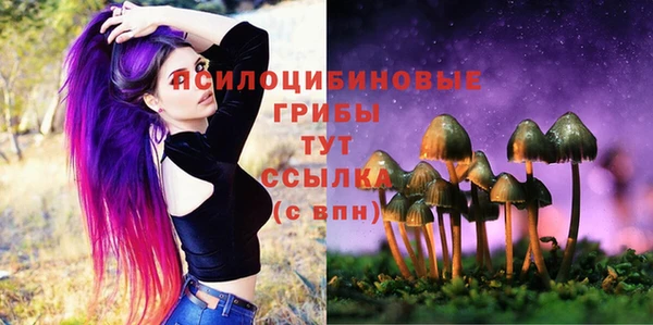 бутират Арсеньев