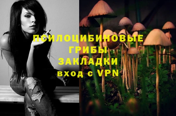 бутират Арсеньев