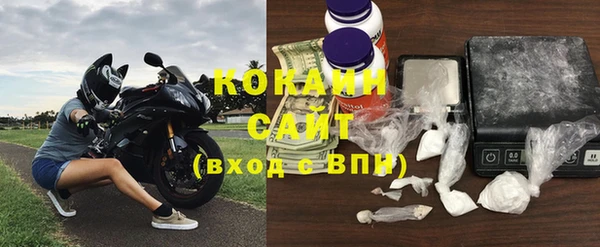 прущие грибы Аркадак