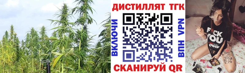 Дистиллят ТГК Wax Тотьма