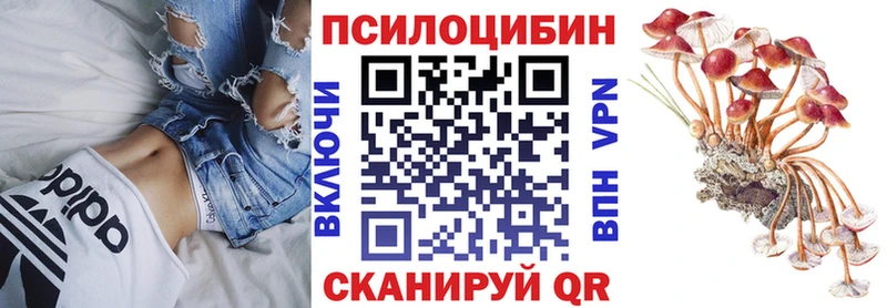 наркота  Тотьма  Галлюциногенные грибы прущие грибы 